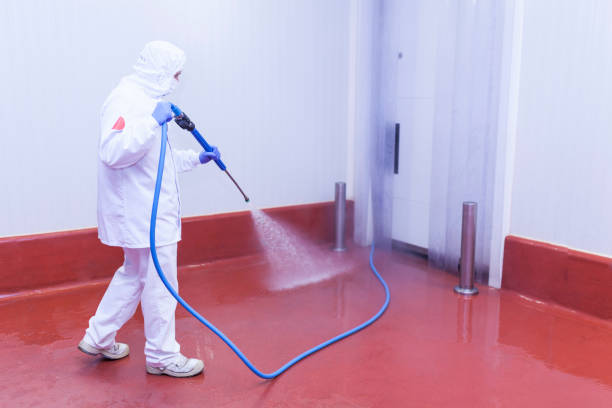 Best Winterizing Services  in Alma, AR